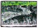 colour1
