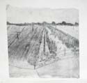 etching3