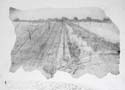 etching5
